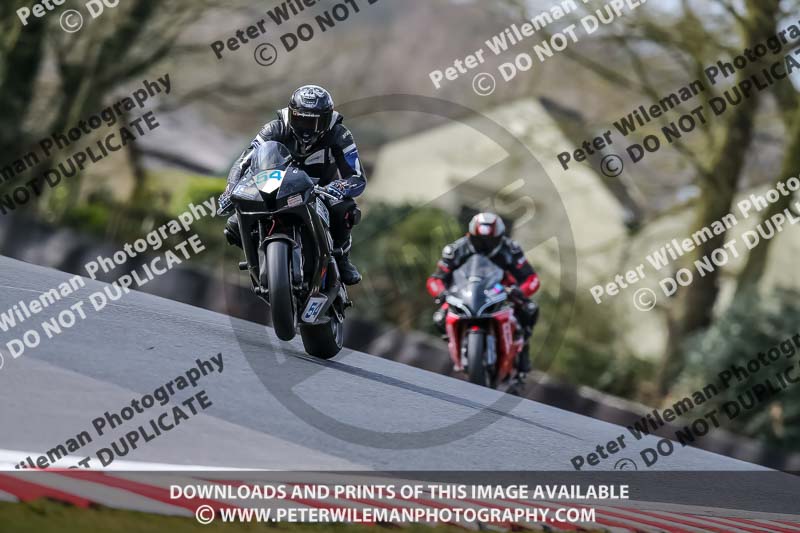 Oulton Park 21st March 2020;PJ Motorsport Photography 2020;anglesey;brands hatch;cadwell park;croft;donington park;enduro digital images;event digital images;eventdigitalimages;mallory;no limits;oulton park;peter wileman photography;racing digital images;silverstone;snetterton;trackday digital images;trackday photos;vmcc banbury run;welsh 2 day enduro